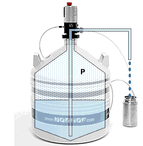 自動液氮泵